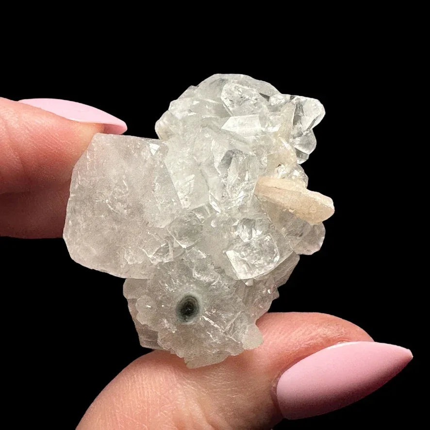 Apophyllite | Stock A - Mooncat Crystals