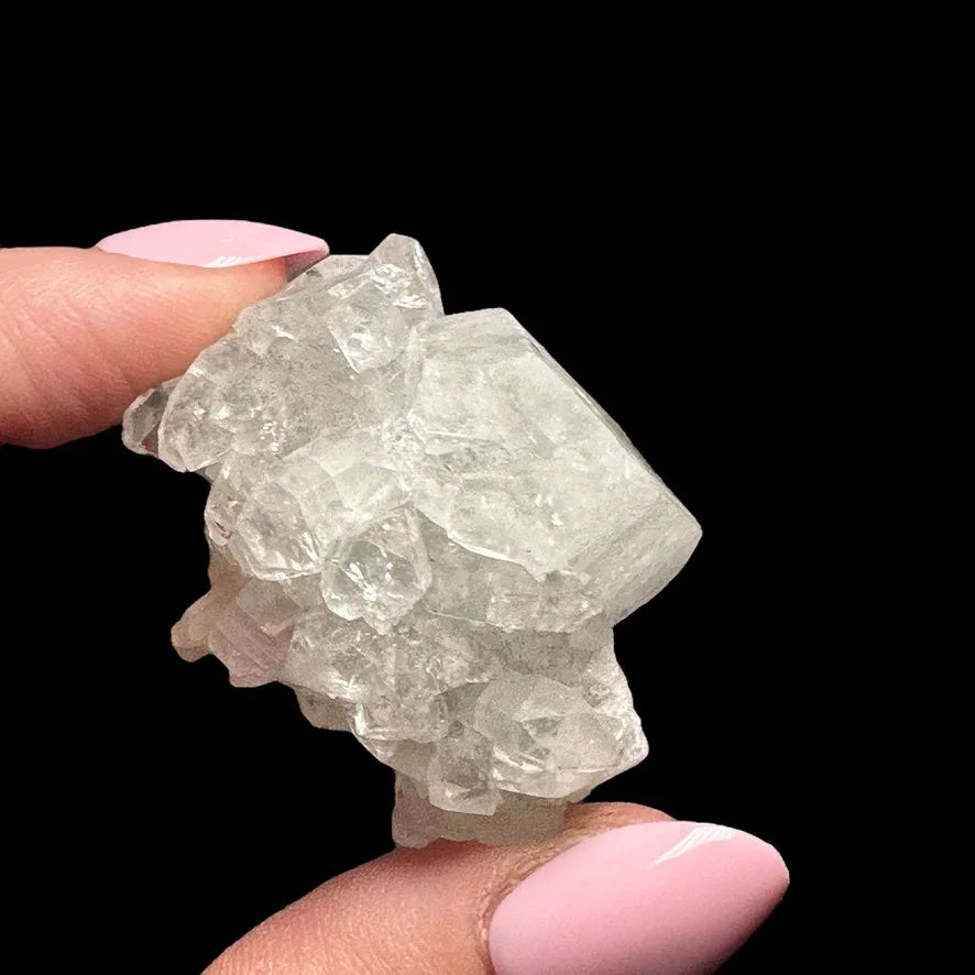 Apophyllite | Stock A - Mooncat Crystals