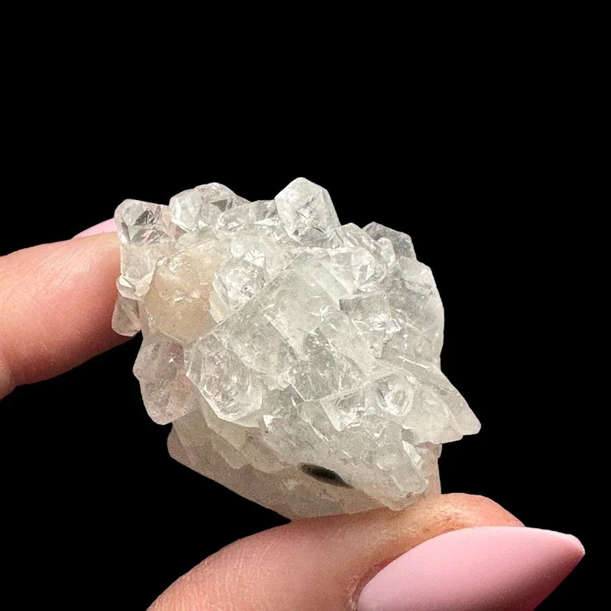 Apophyllite | Stock A - Mooncat Crystals