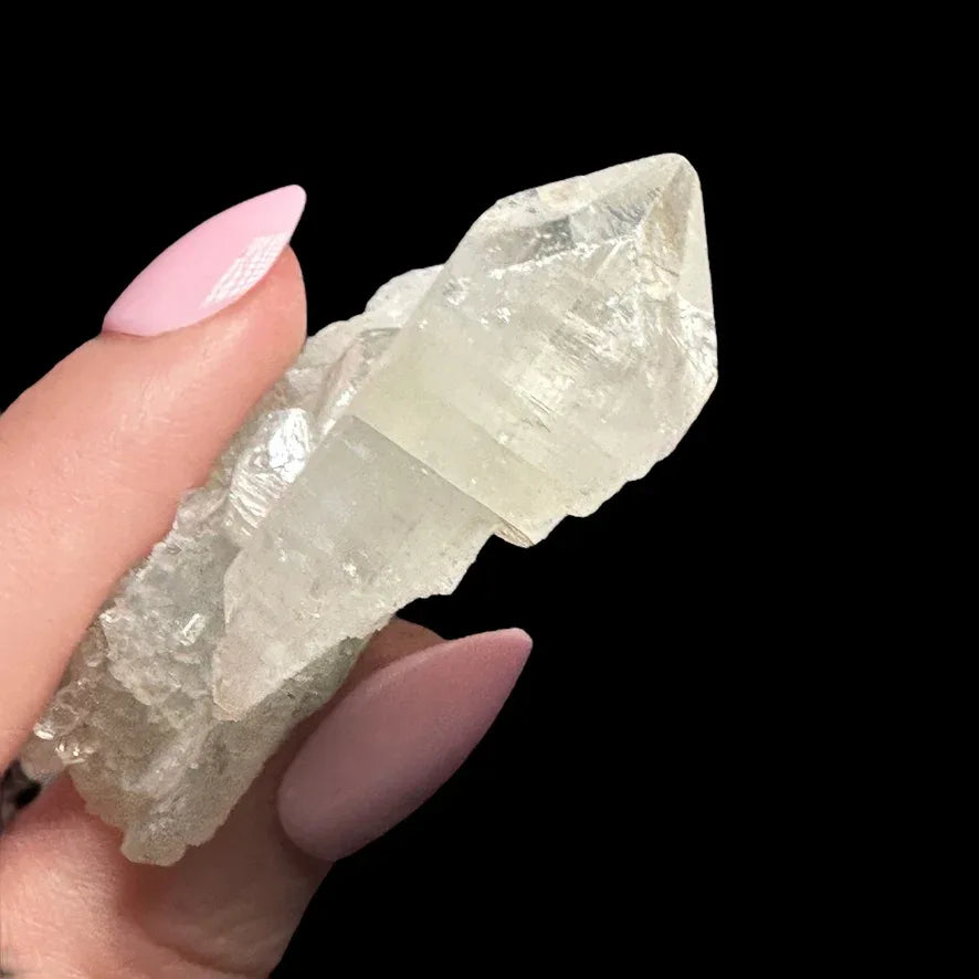 Apophyllite | Stock C - Mooncat Crystals
