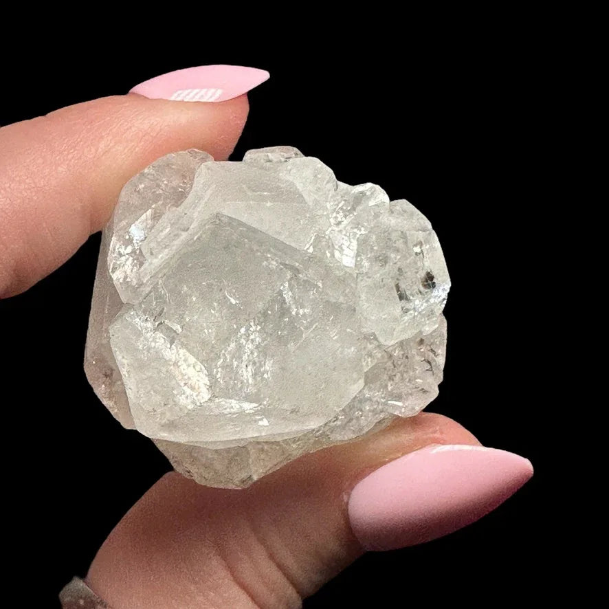 Apophyllite | Stock D - Mooncat Crystals