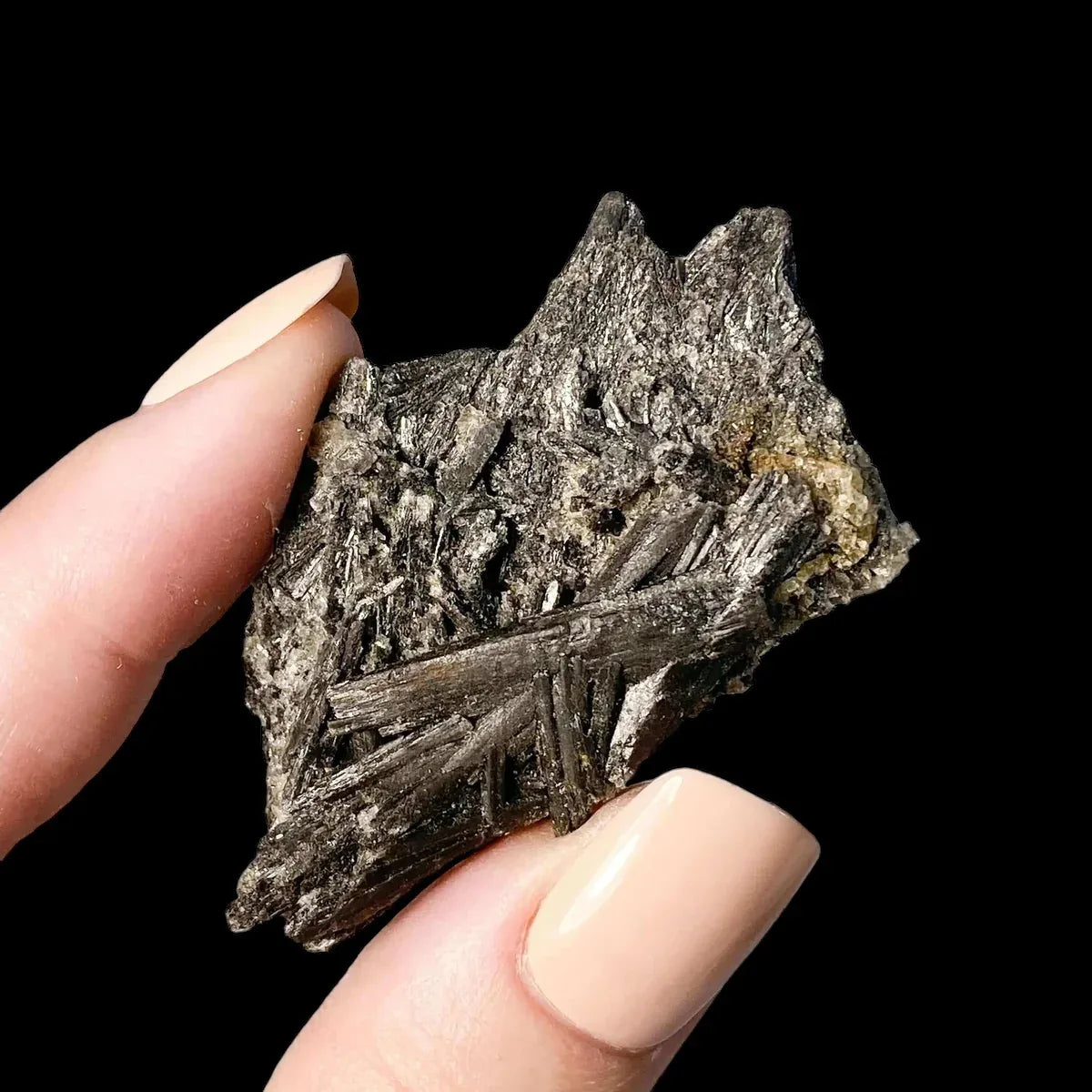 Black Kyanite - Mooncat Crystals