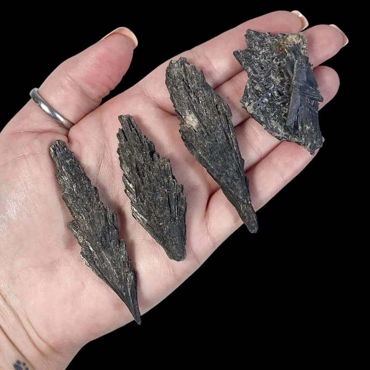 Black Kyanite - Mooncat Crystals