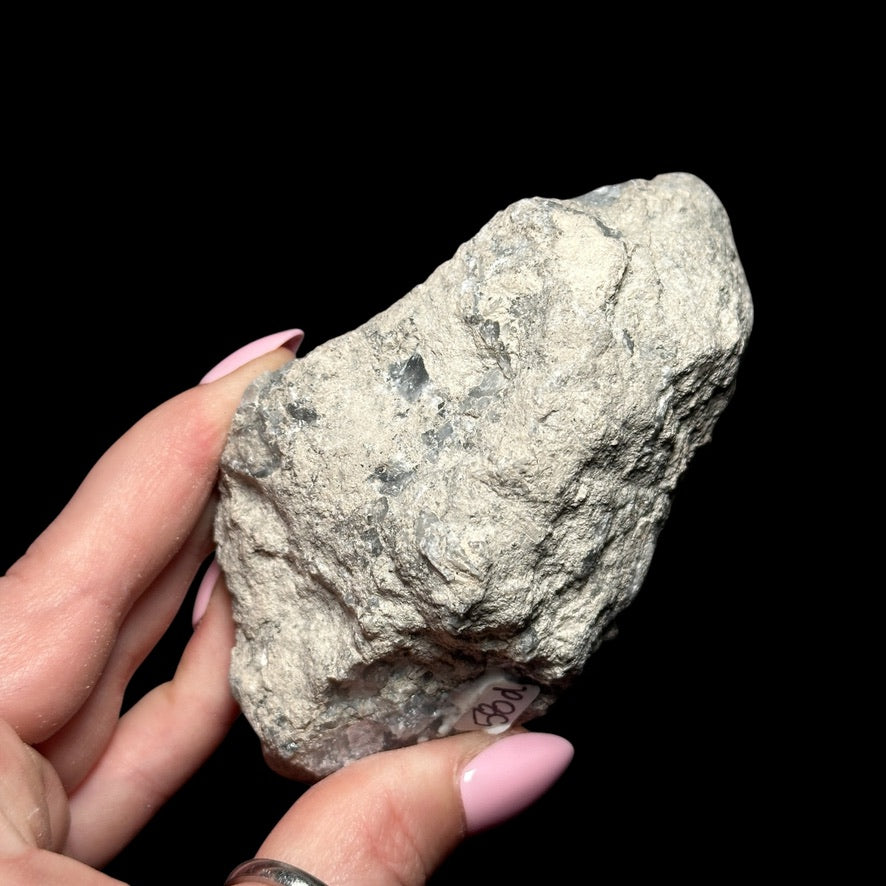 Celestite Geode - Mooncat Crystals