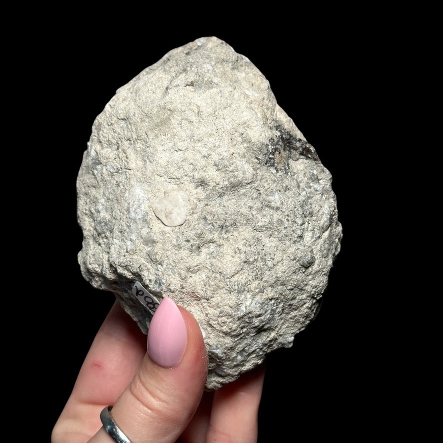 Celestite Geode - Mooncat Crystals