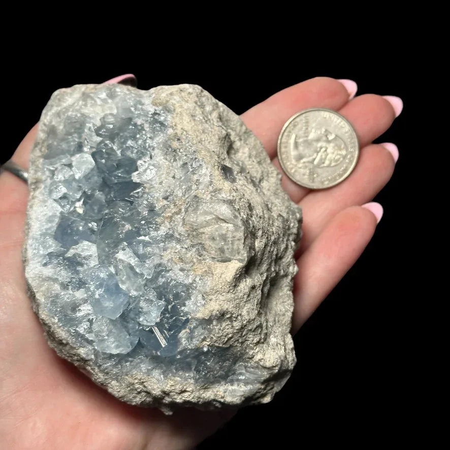 Celestite Geode - Mooncat Crystals