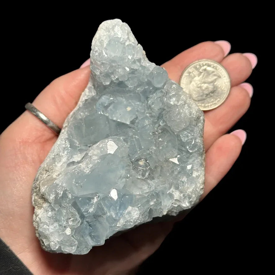 Celestite Geode - Mooncat Crystals