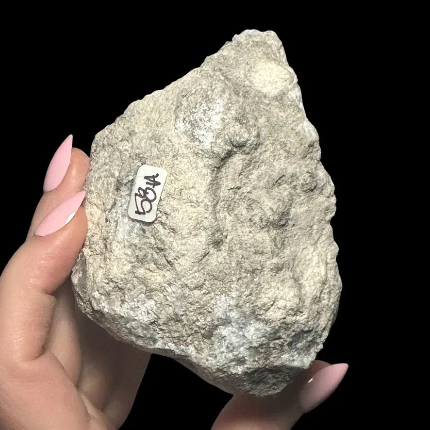 Celestite Geode - Mooncat Crystals