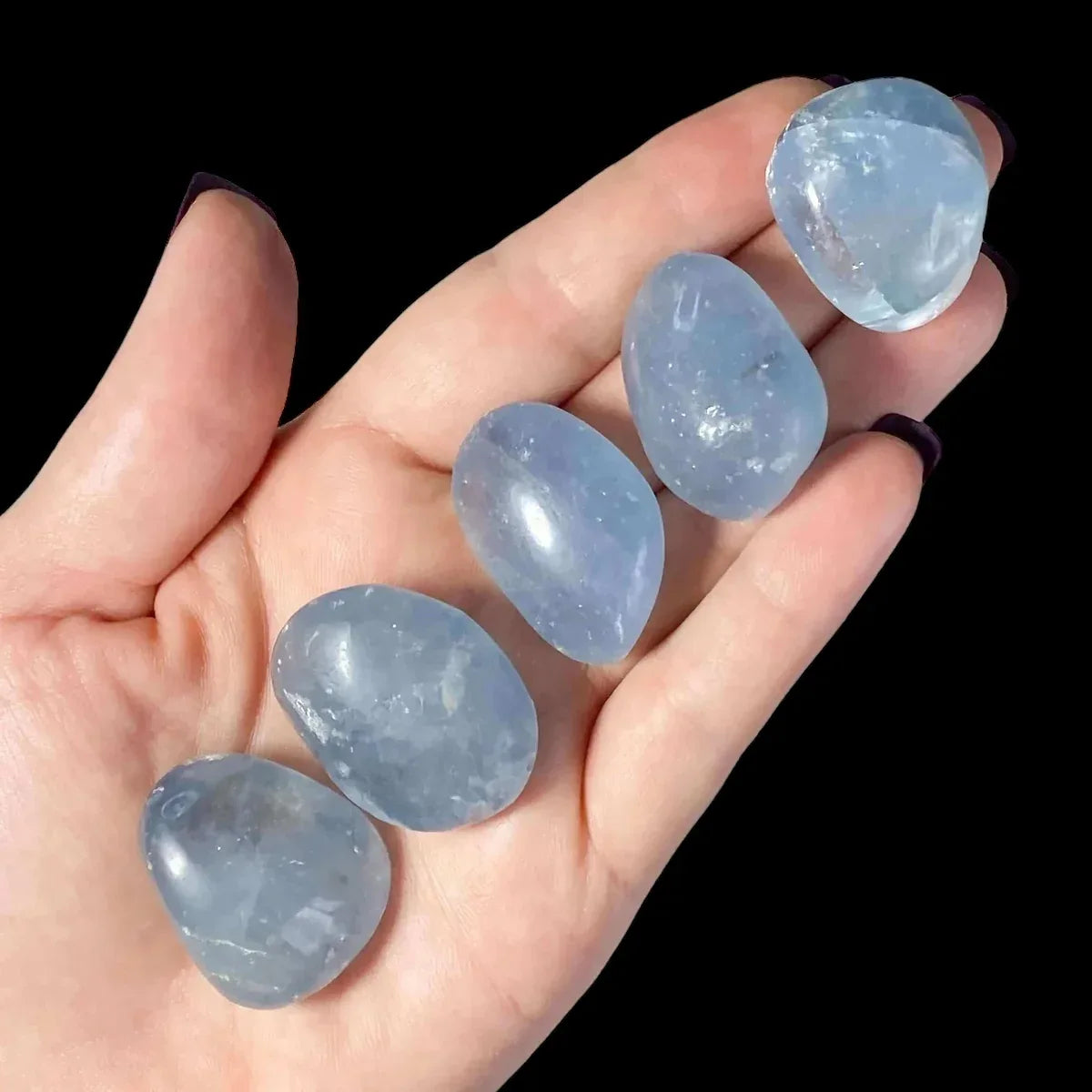 Celestite Tumbles - Large | Set of 2 - Mooncat Crystals