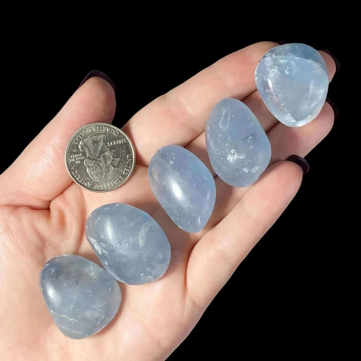 Celestite Tumbles - Large | Set of 2 - Mooncat Crystals