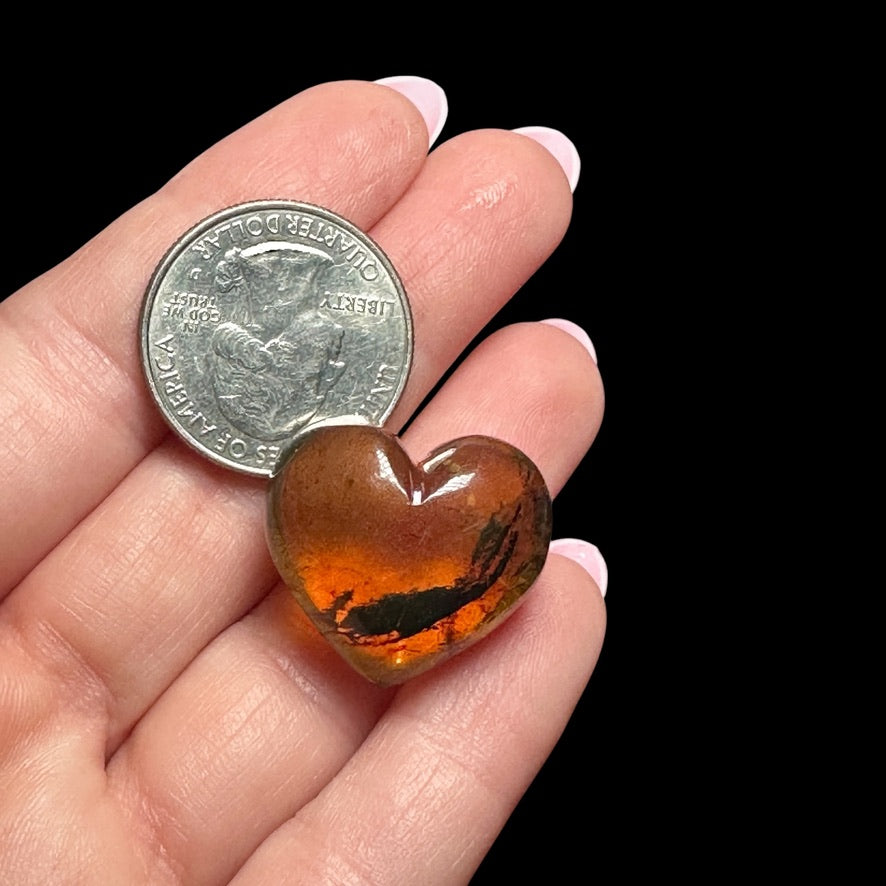 Chiapas Amber Heart - Mooncat Crystals