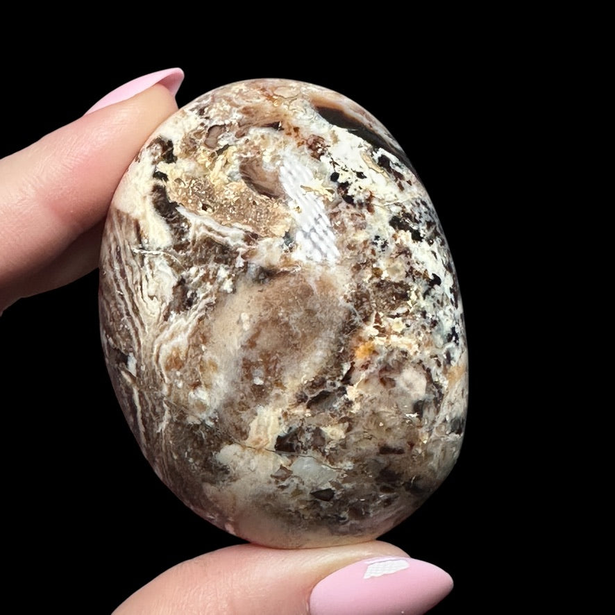 Chocolate Opal Palm Stone - Mooncat Crystals
