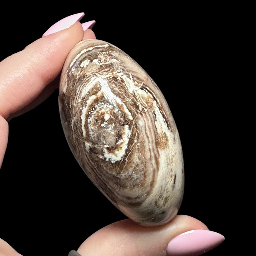 Chocolate Opal Palm Stone - Mooncat Crystals
