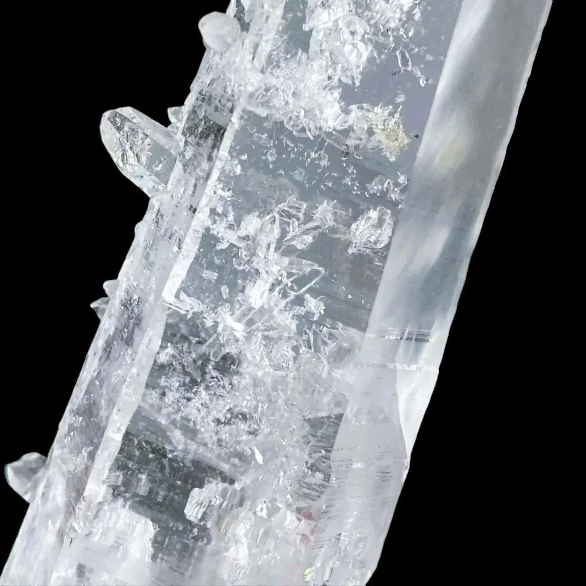 Colombian Lemurian Quartz | Stock K - Mooncat Crystals