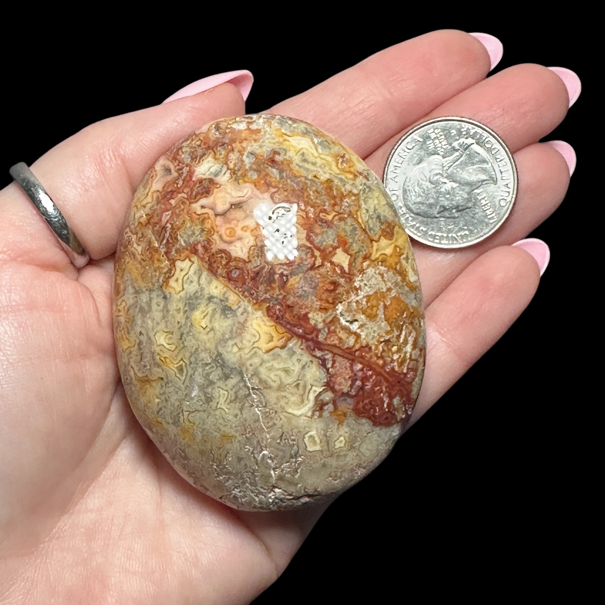 Crazy Lace Agate Palm Stone - Mooncat Crystals