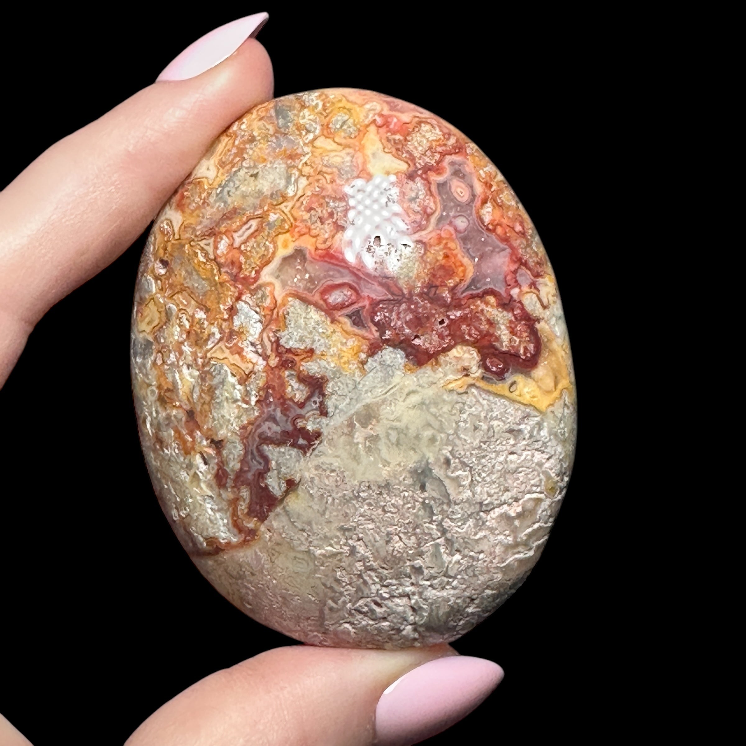 Crazy Lace Agate Palm Stone - Mooncat Crystals