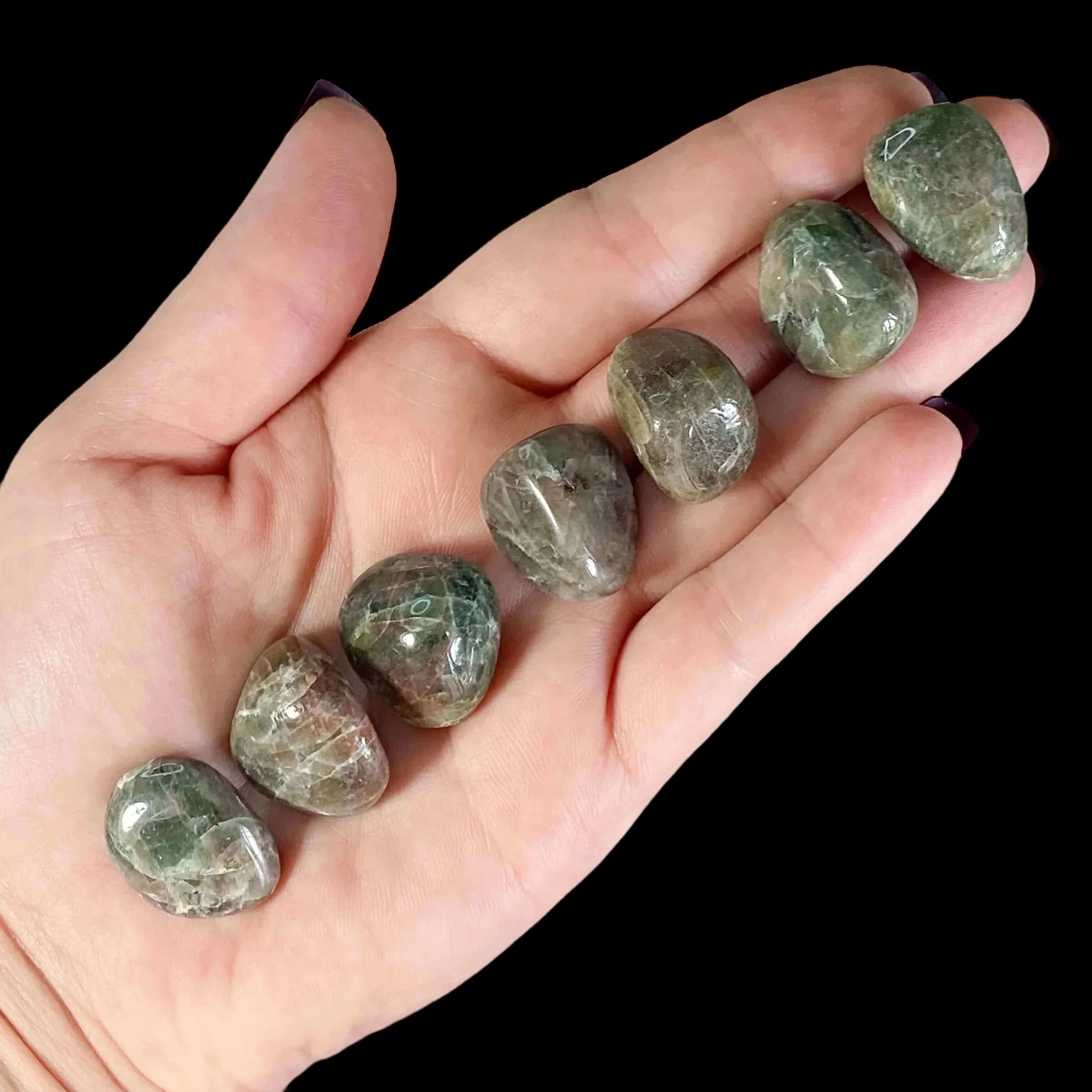 Diopside Tumbles | Set of 2 - Mooncat Crystals