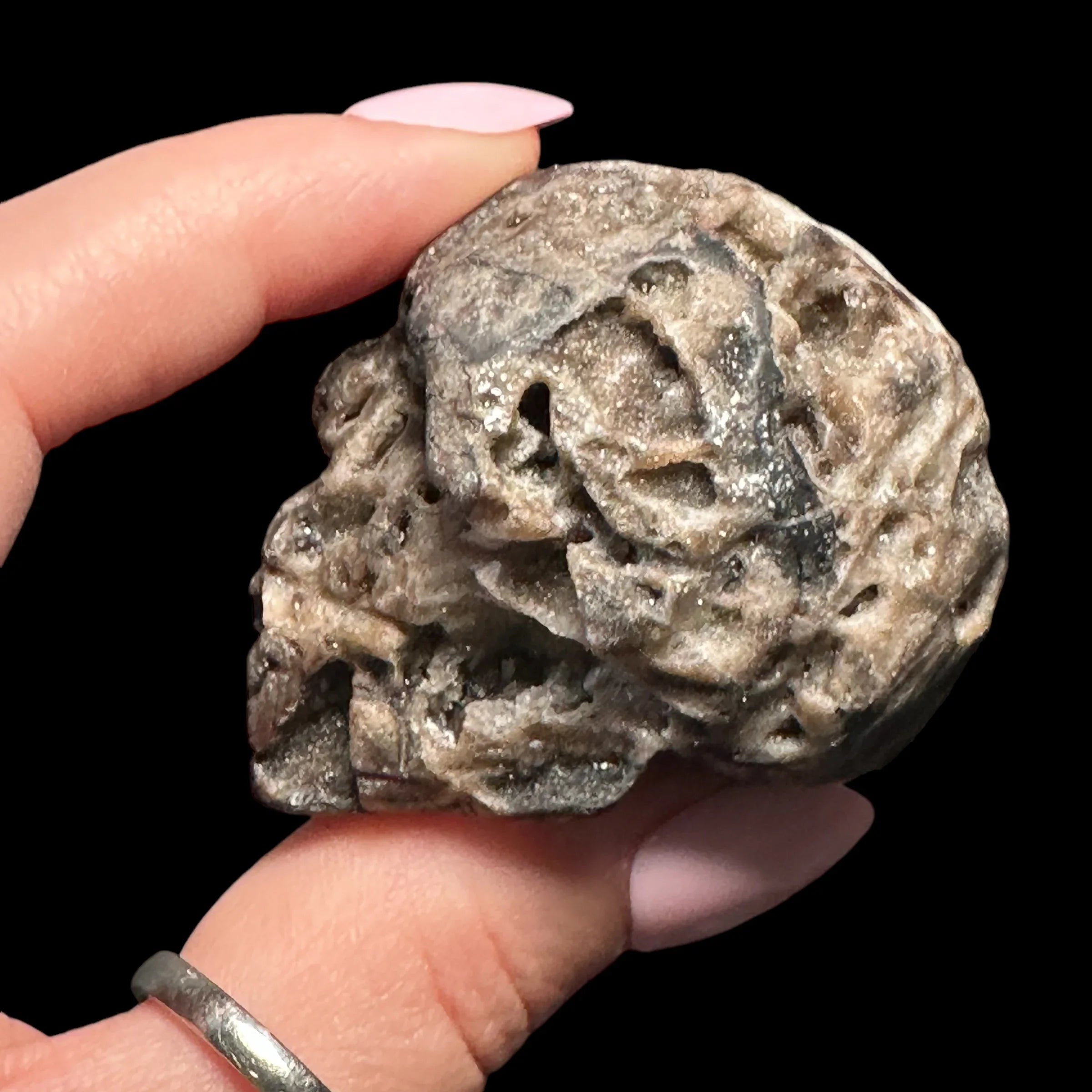 Druzy Sphalerite Skull - Mooncat Crystals