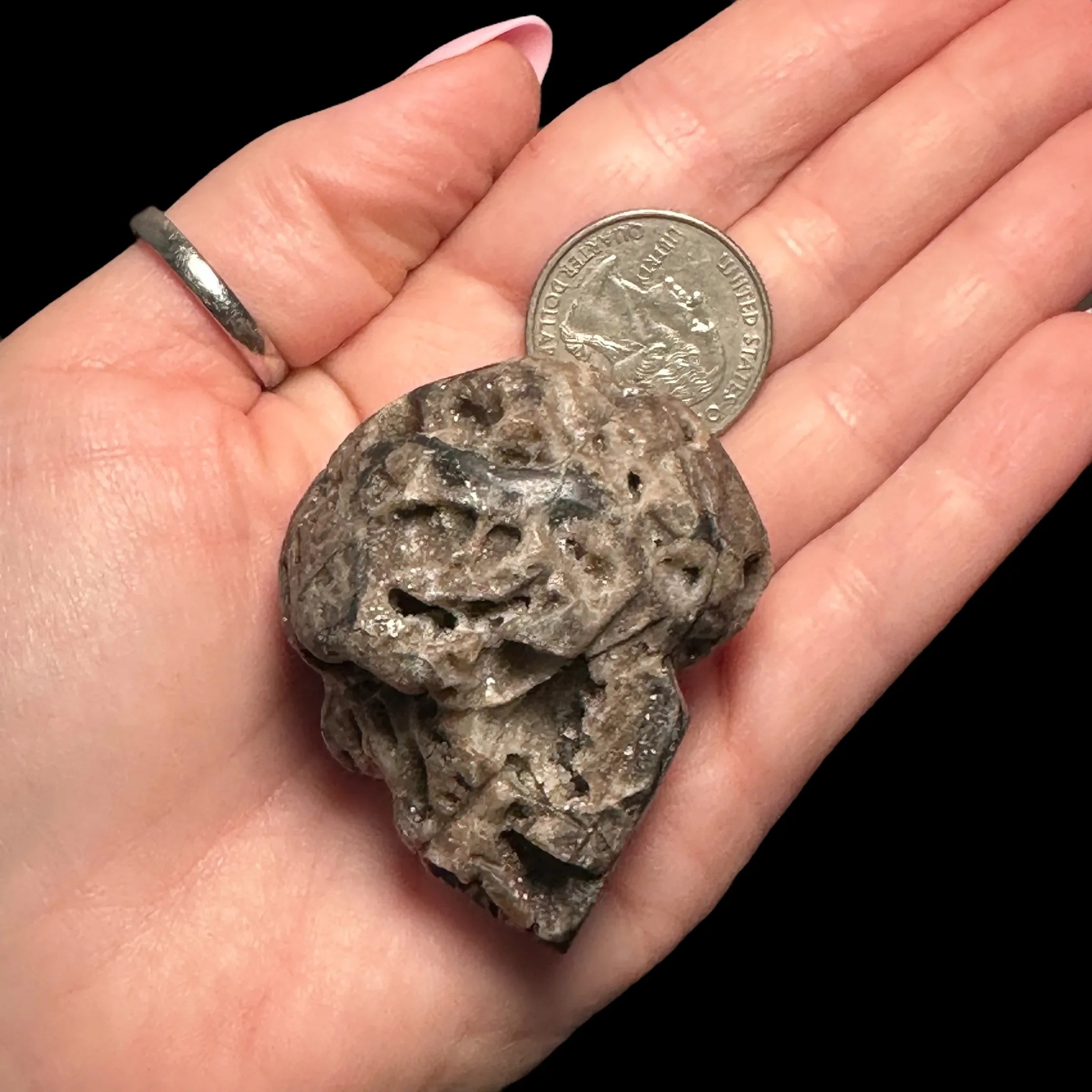 Druzy Sphalerite Skull - Mooncat Crystals