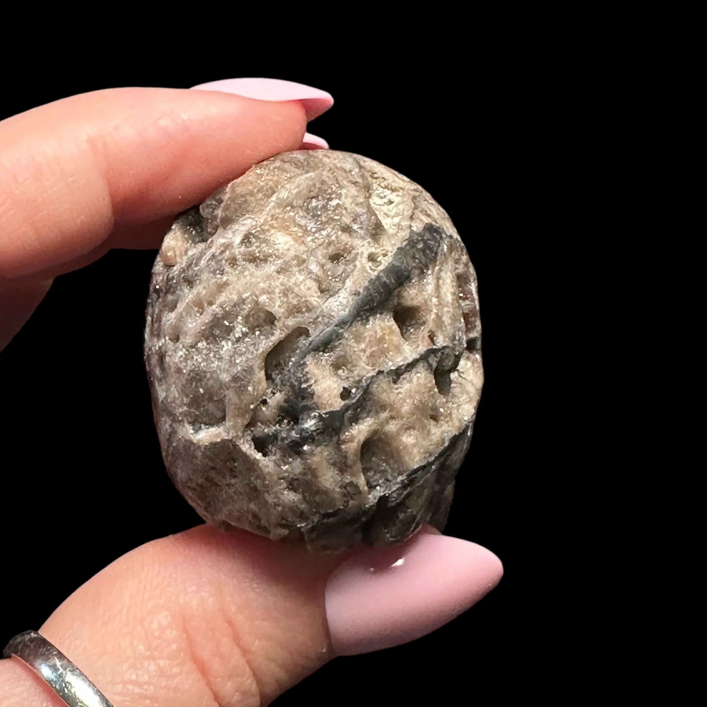 Druzy Sphalerite Skull - Mooncat Crystals