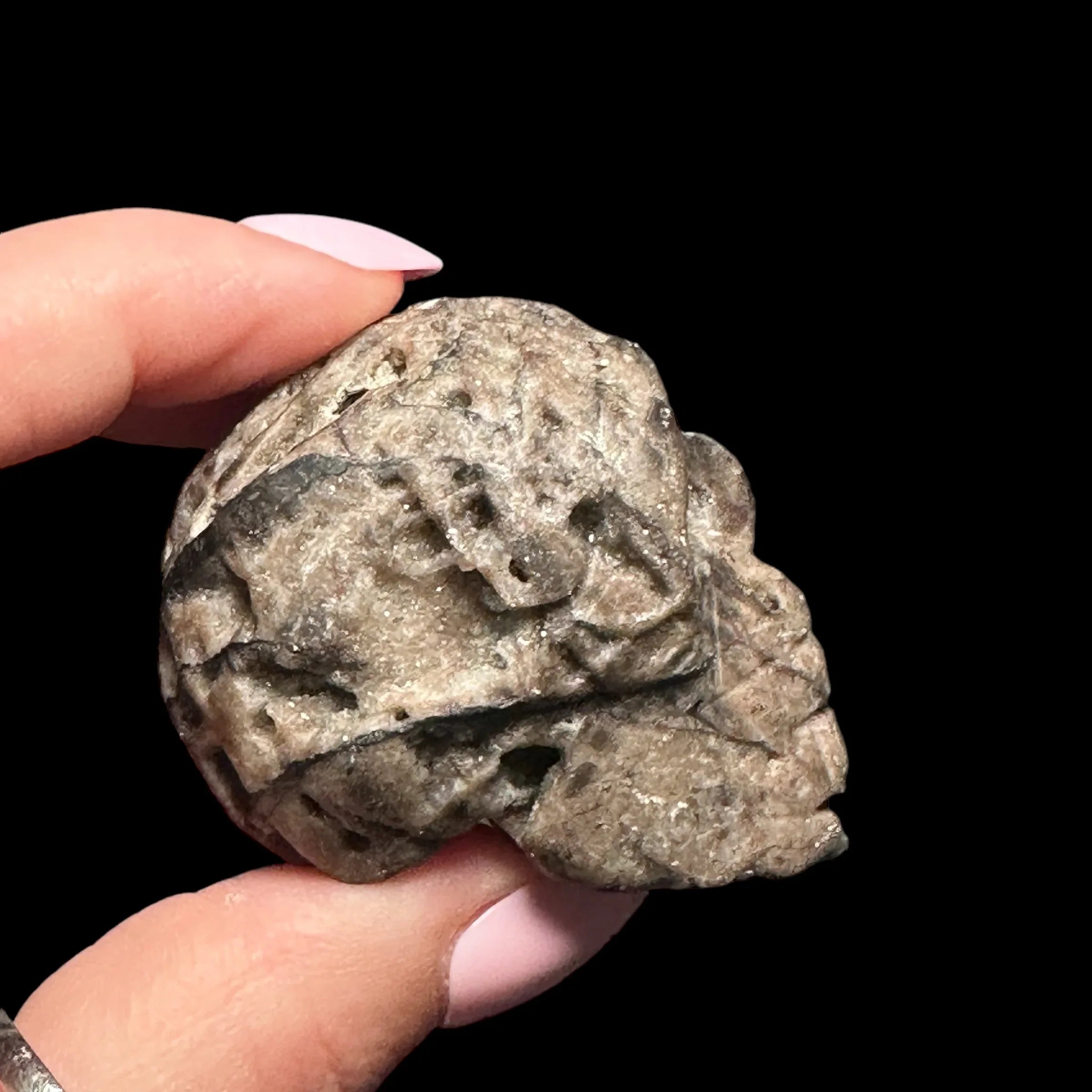 Druzy Sphalerite Skull - Mooncat Crystals