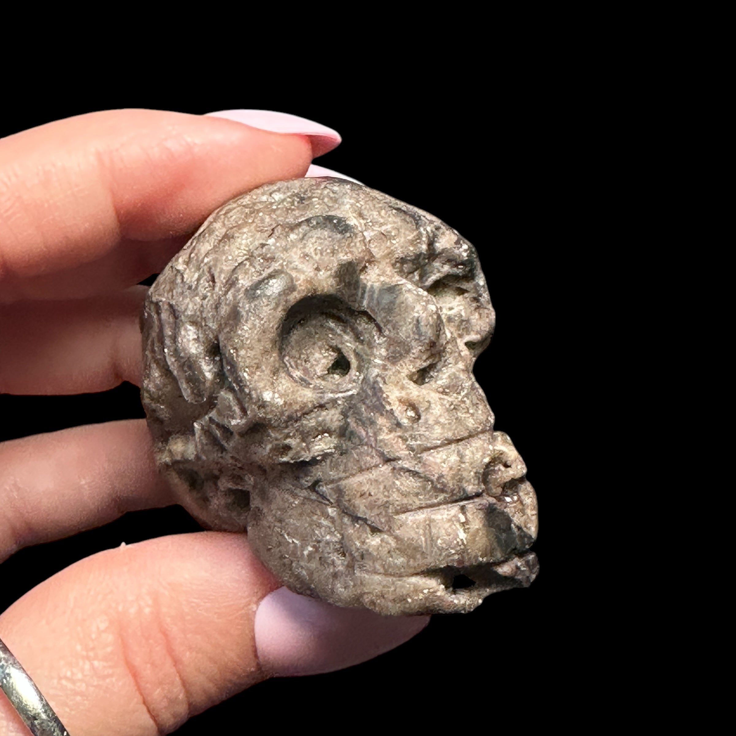 Druzy Agate Skull - Mooncat Crystals