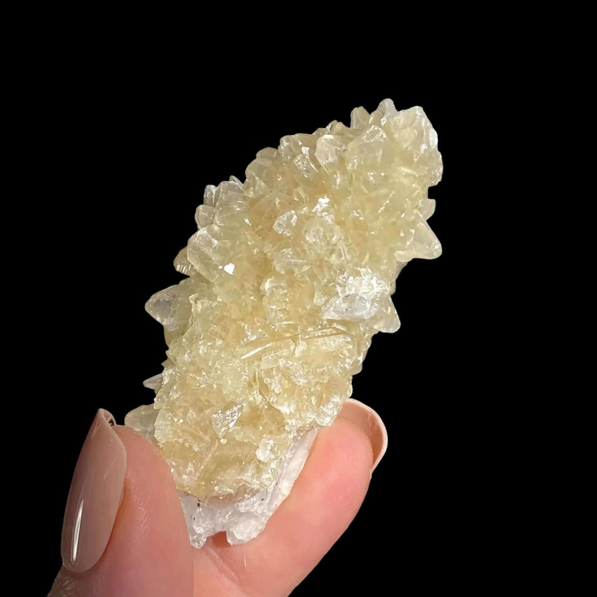 Druzy Pink Danburite with UV-Reactive Calcite | Stock RR - Mooncat Crystals