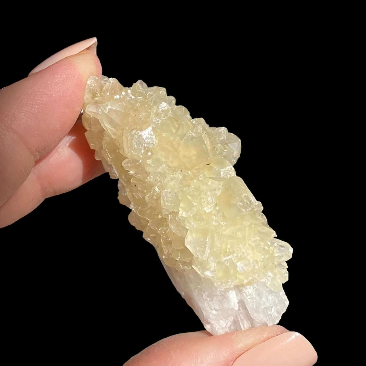 Druzy Pink Danburite with UV-Reactive Calcite | Stock RR - Mooncat Crystals