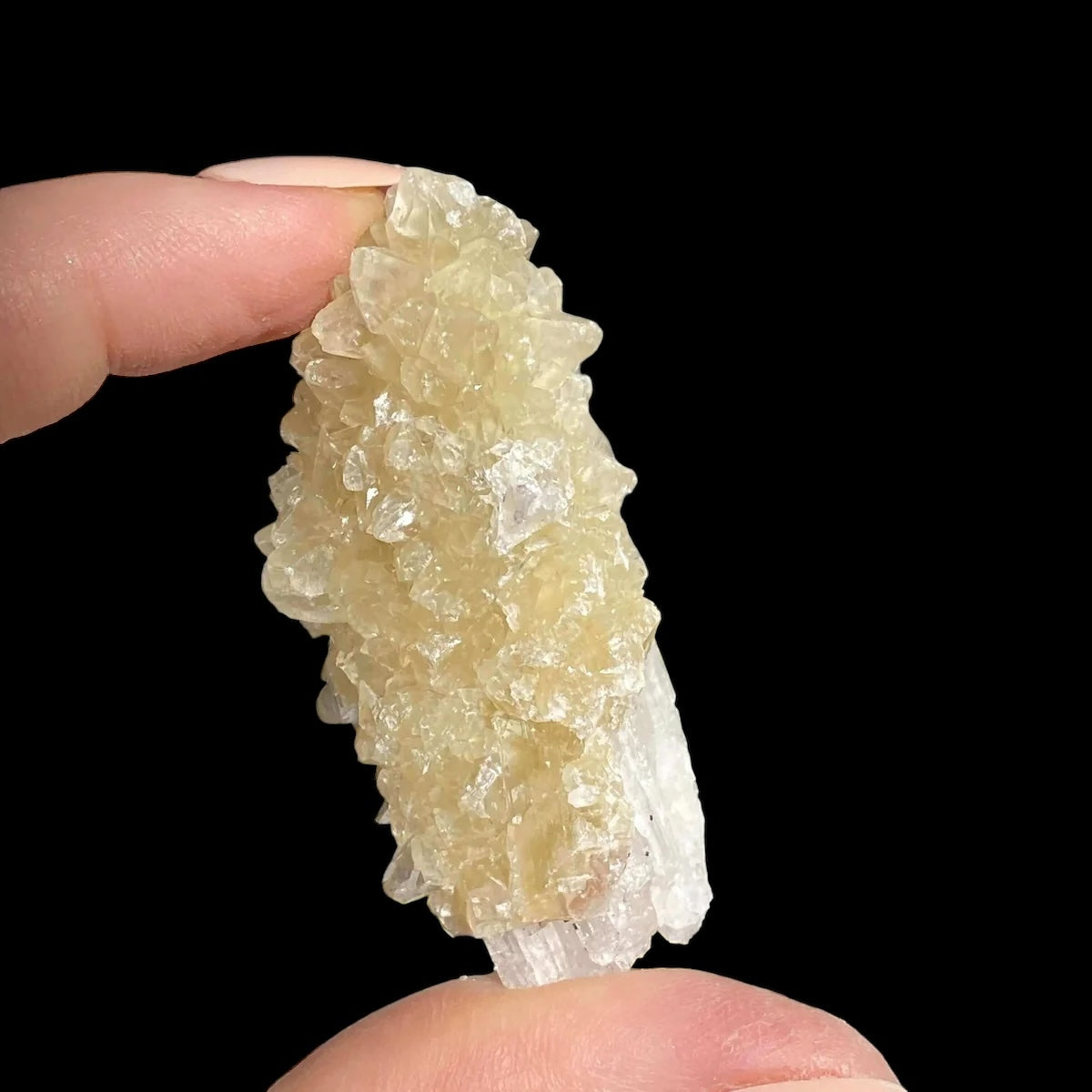 Druzy Pink Danburite with UV-Reactive Calcite | Stock RR - Mooncat Crystals
