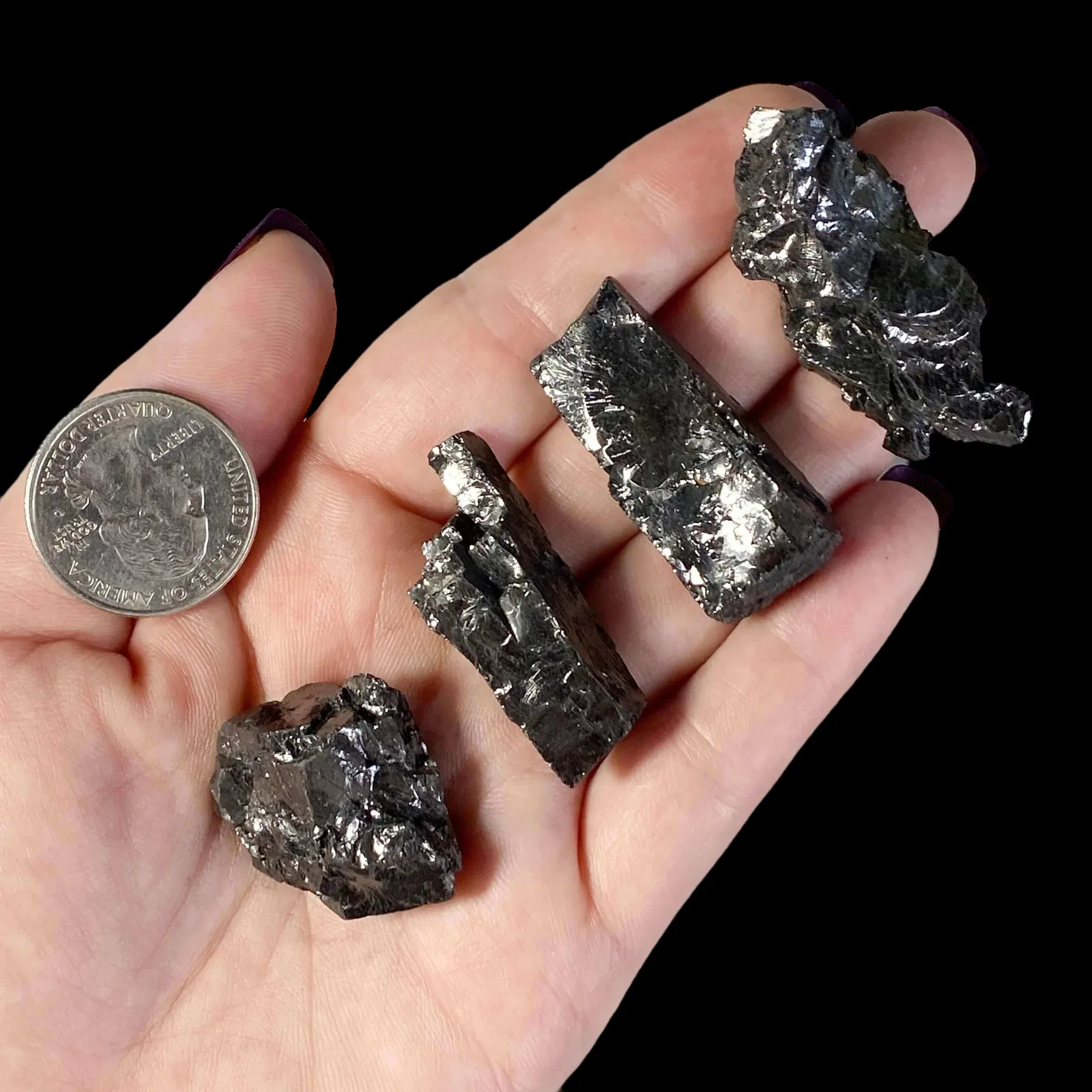 Elite Shungite | 1 Piece - Mooncat Crystals