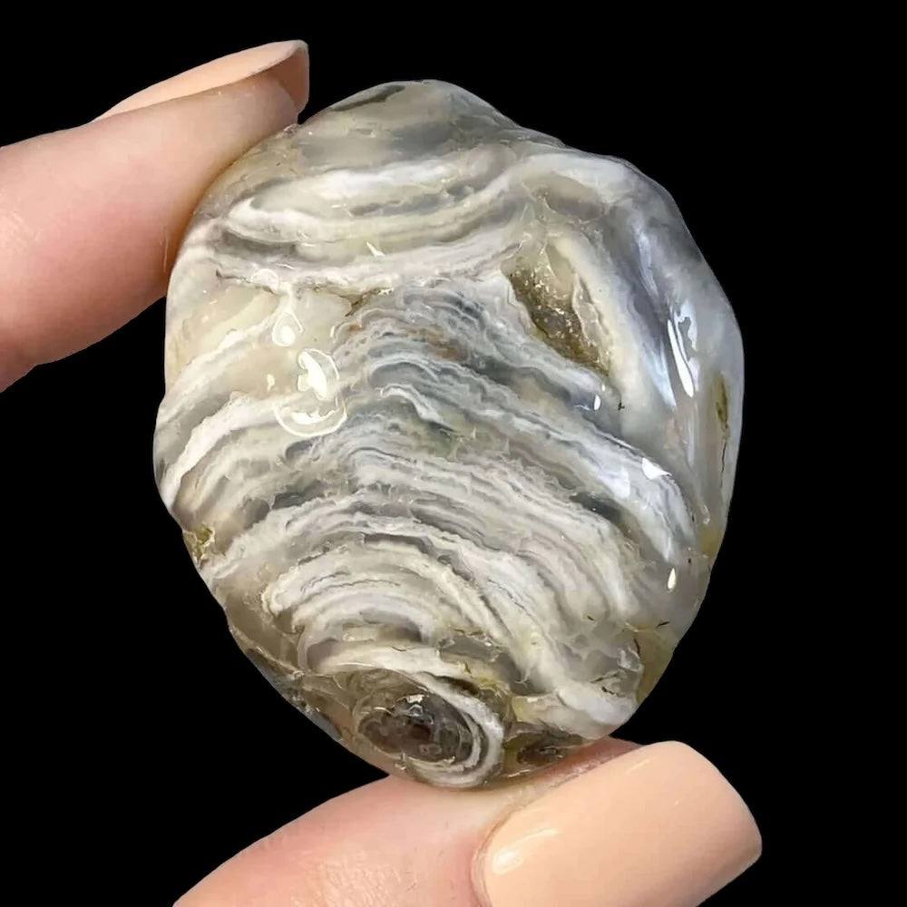 Enhydro Agate | Stock B - Mooncat Crystals