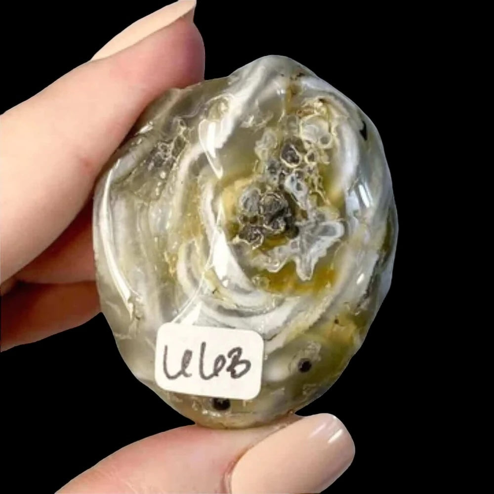 Enhydro Agate | Stock B - Mooncat Crystals