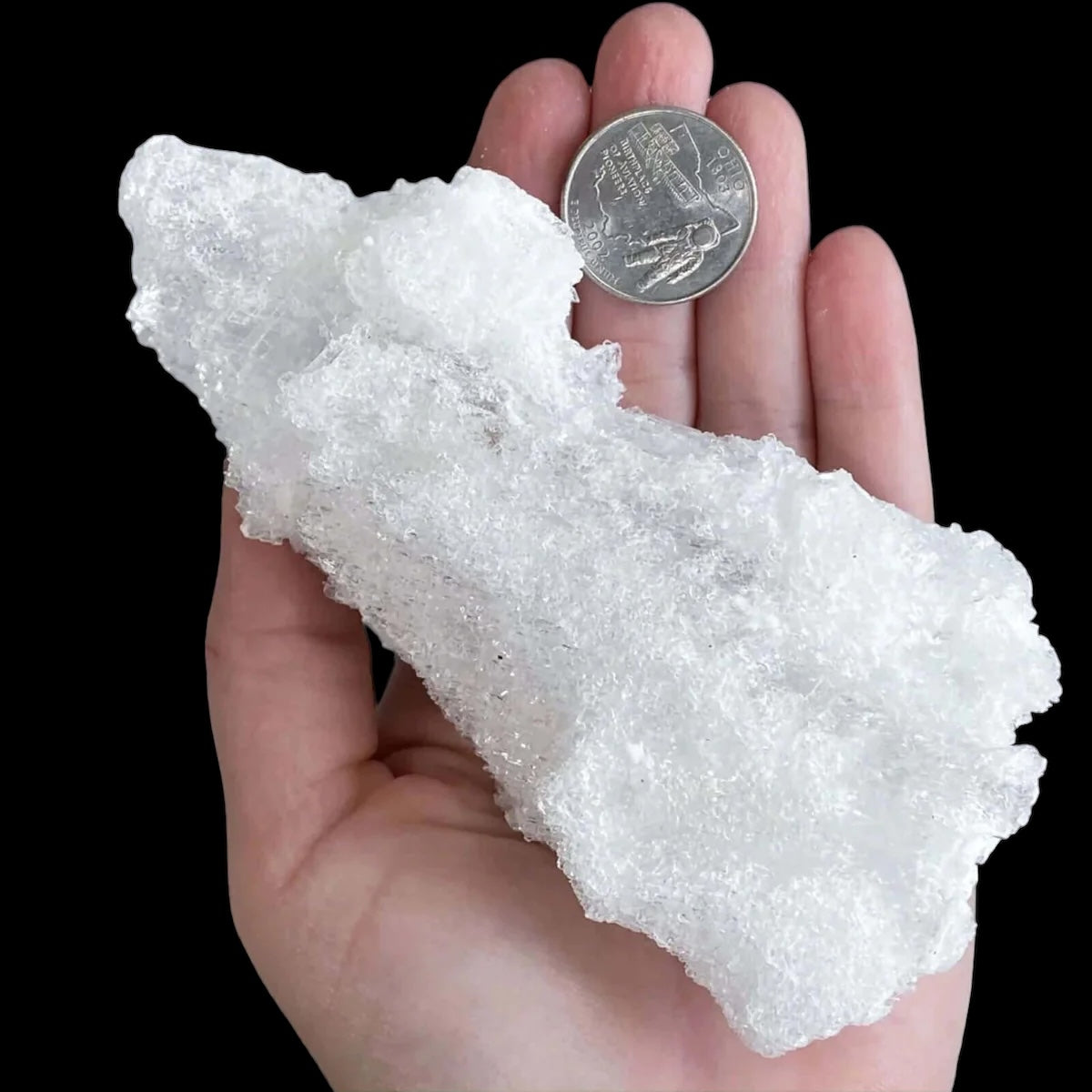 Etched Selenite - Mooncat Crystals