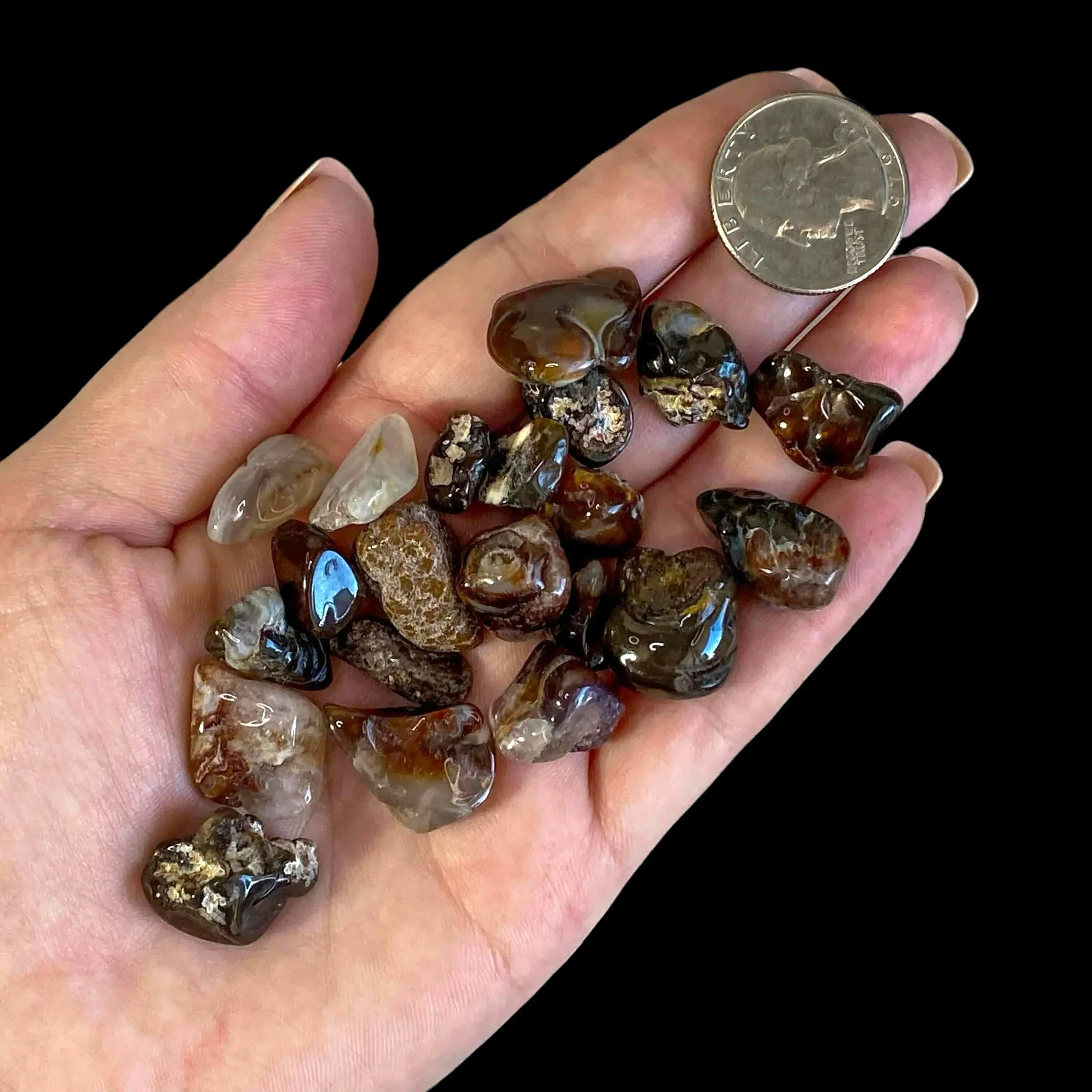Fire Agate Tumbles - Mooncat Crystals