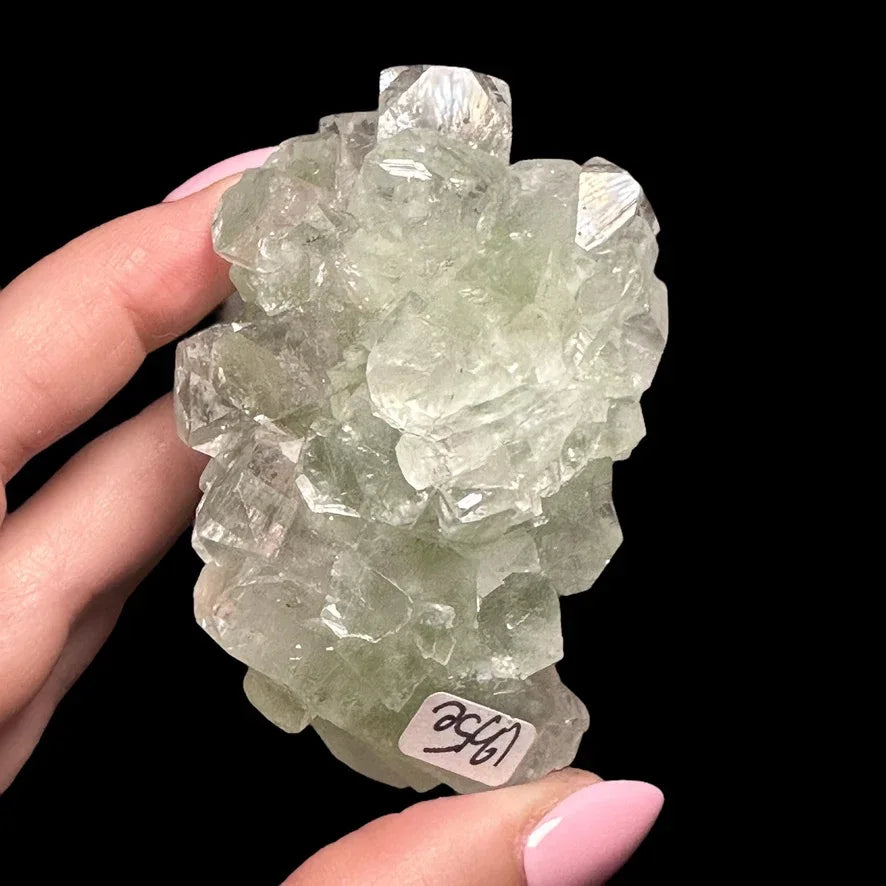 Green Apophyllite | Stock A - Mooncat Crystals