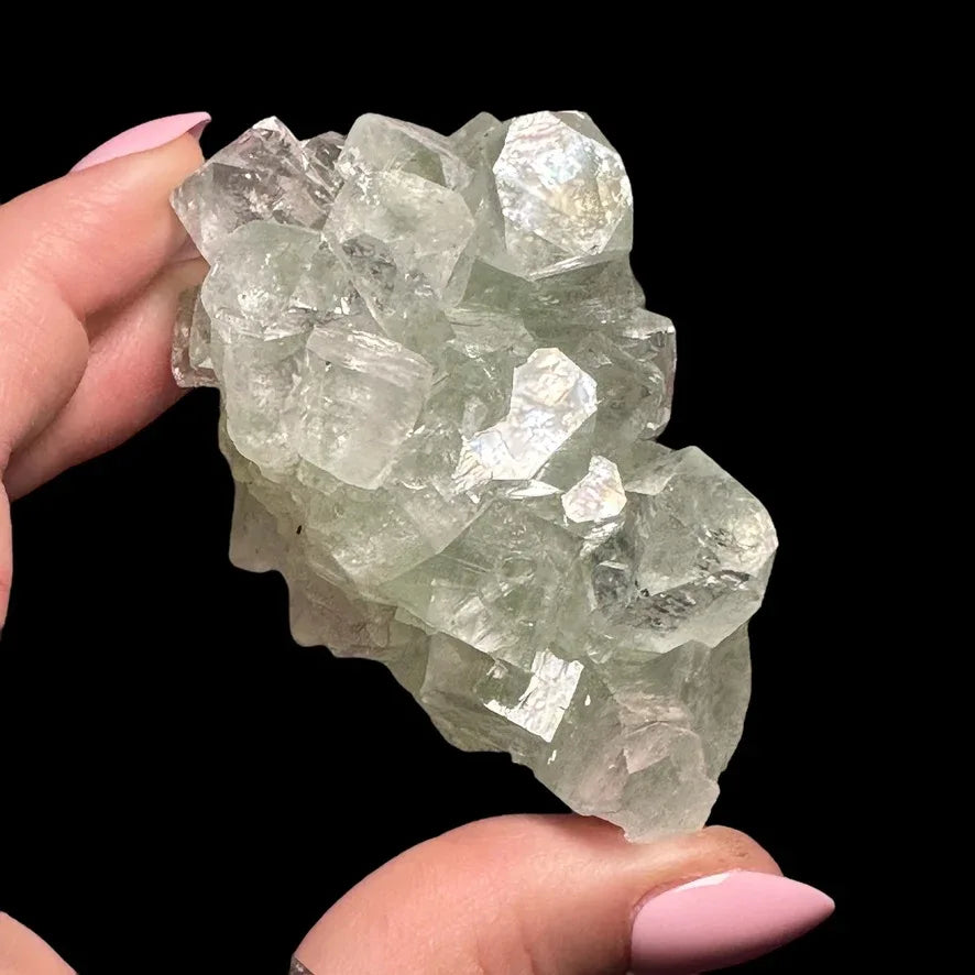 Green Apophyllite | Stock A - Mooncat Crystals