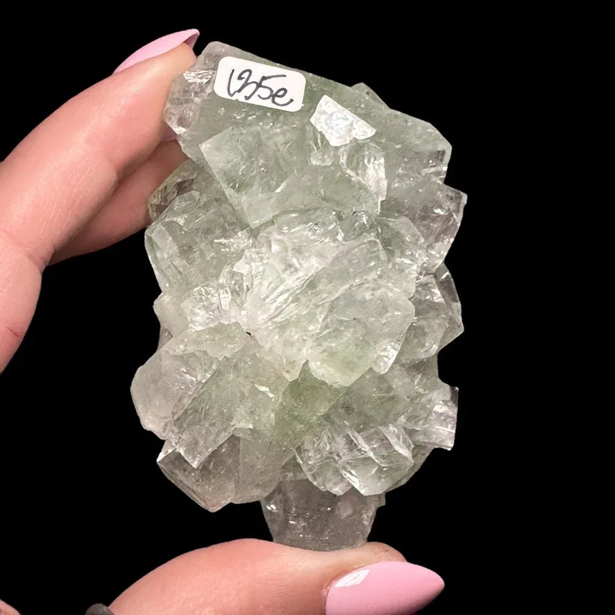 Green Apophyllite | Stock A - Mooncat Crystals