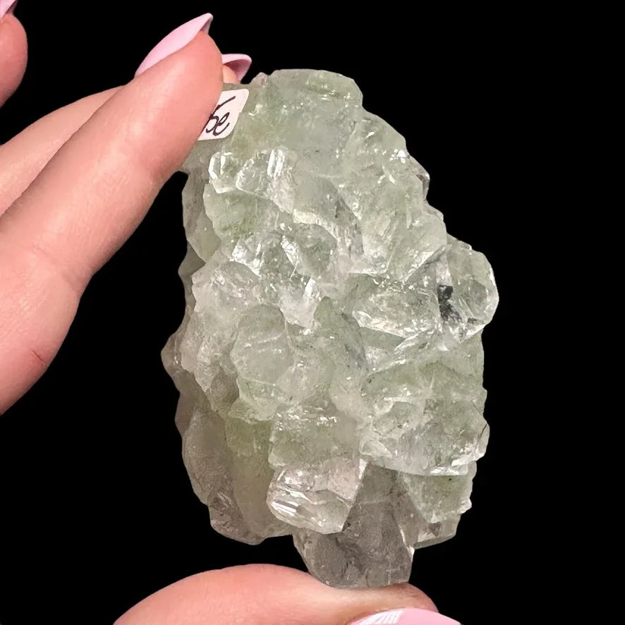 Green Apophyllite | Stock A - Mooncat Crystals