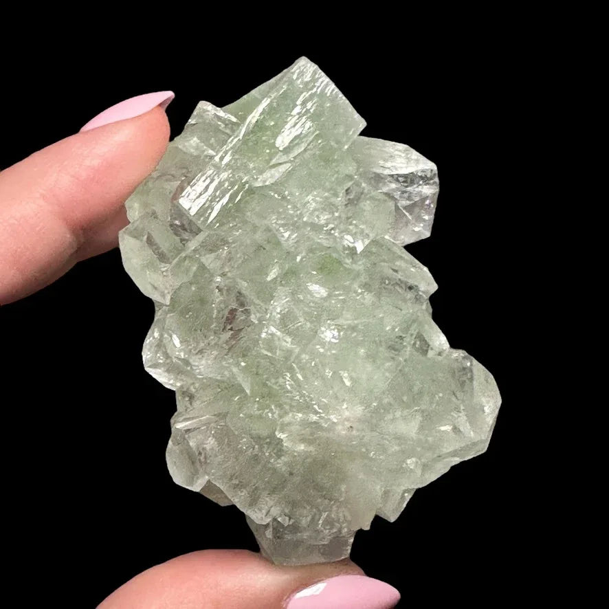 Green Apophyllite | Stock A - Mooncat Crystals