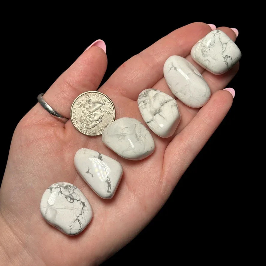 Howlite Tumbles | Set of 2 - Mooncat Crystals