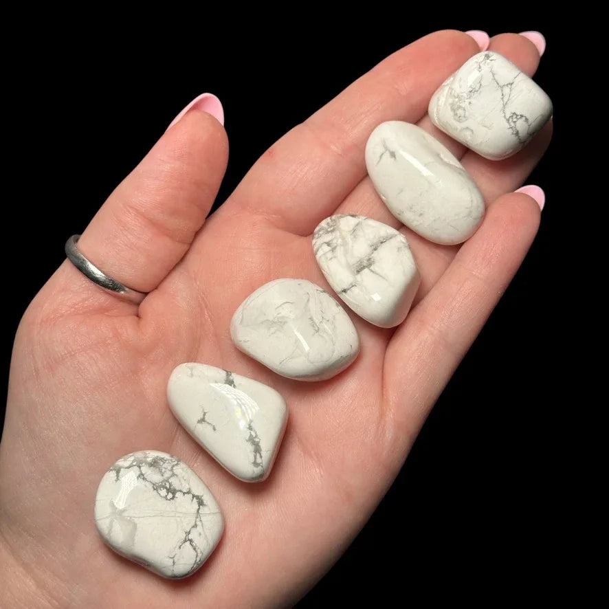 Howlite Tumbles | Set of 2 - Mooncat Crystals