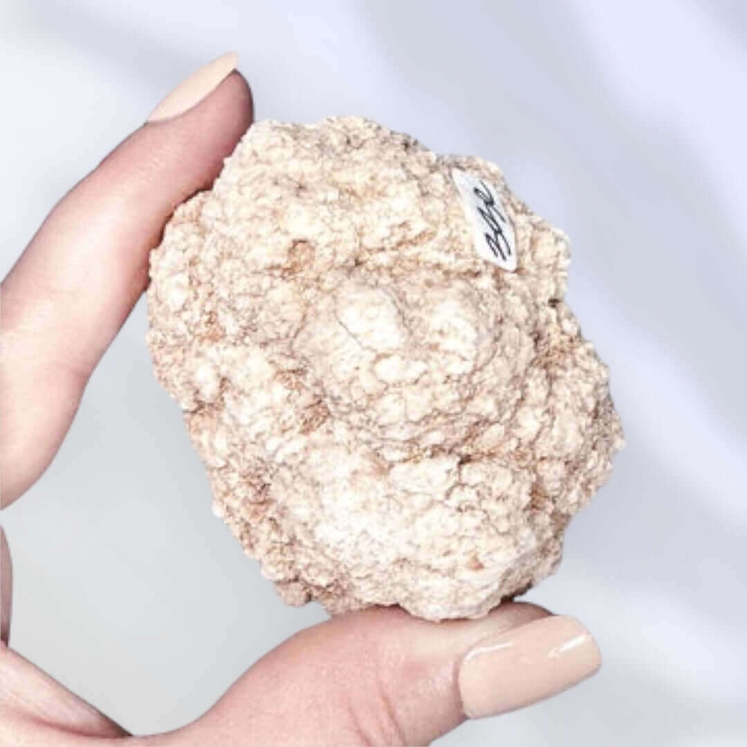 Pink Amethyst Geode | Stock E