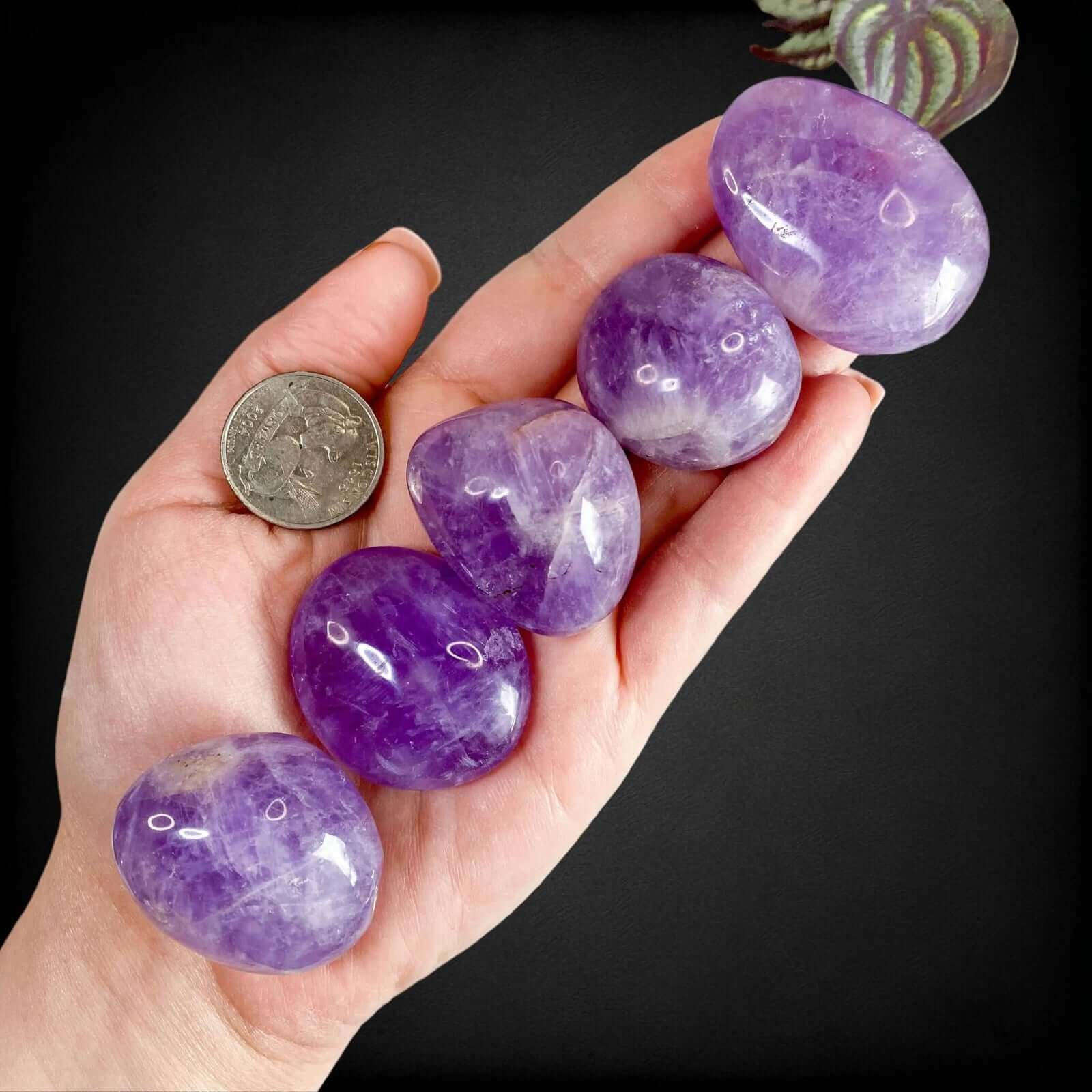 Chevron Amethyst Palmstone | Intuitive Selection