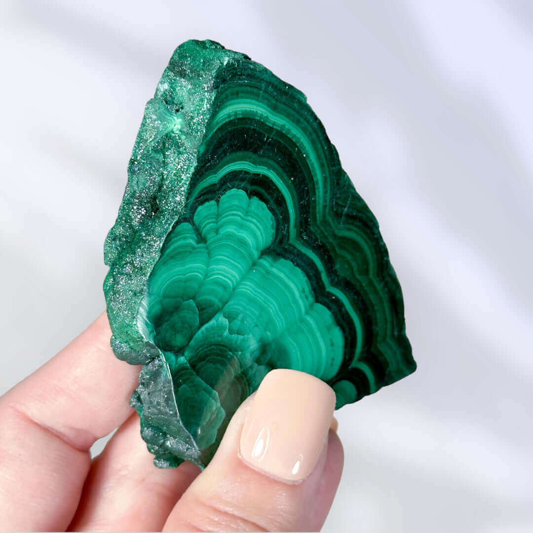 Druzy Malachite Slice | Stock B