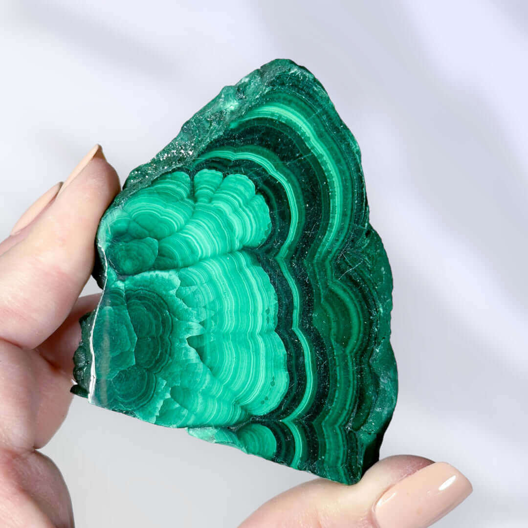 Druzy Malachite Slice | Stock B