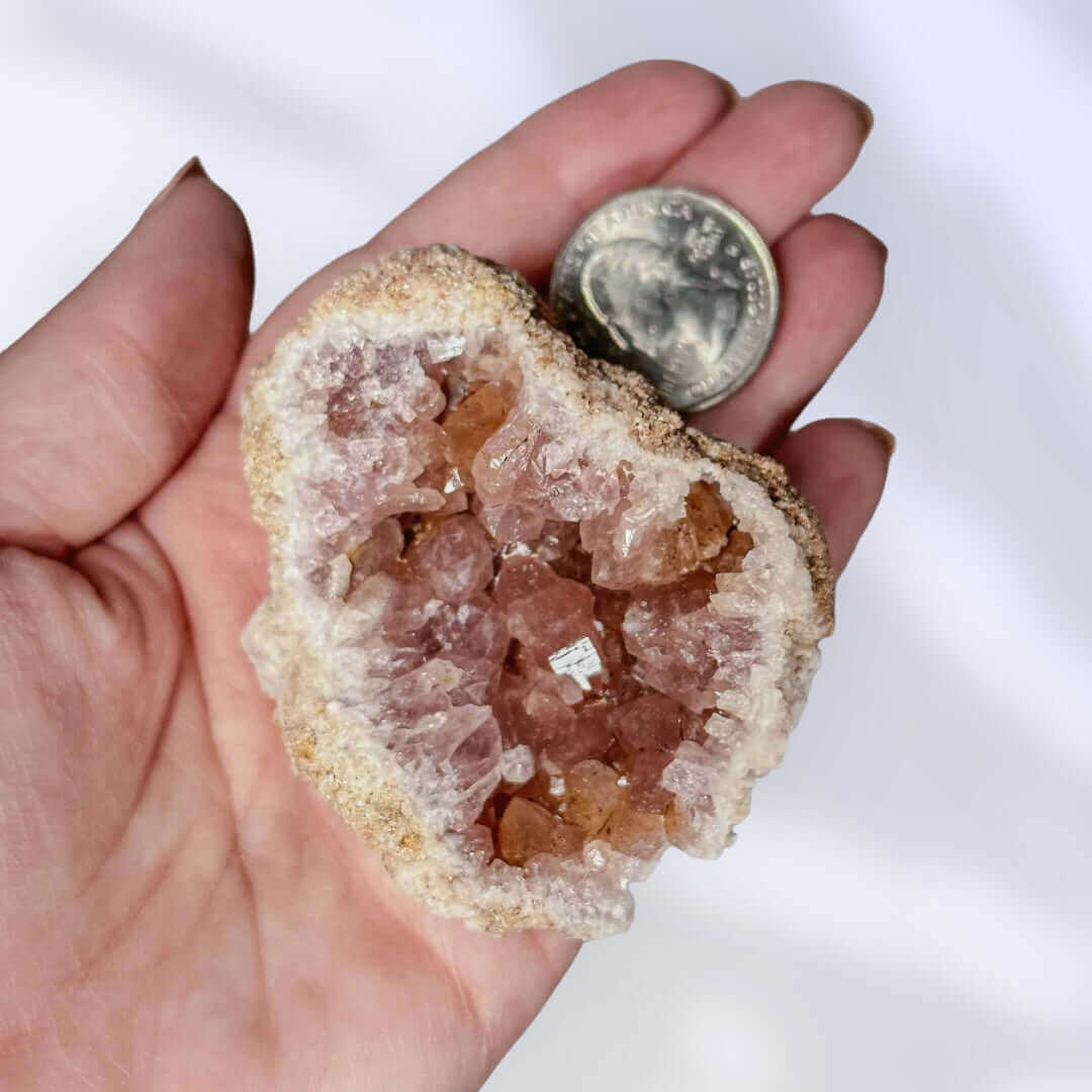 Pink Amethyst Geode | Stock B