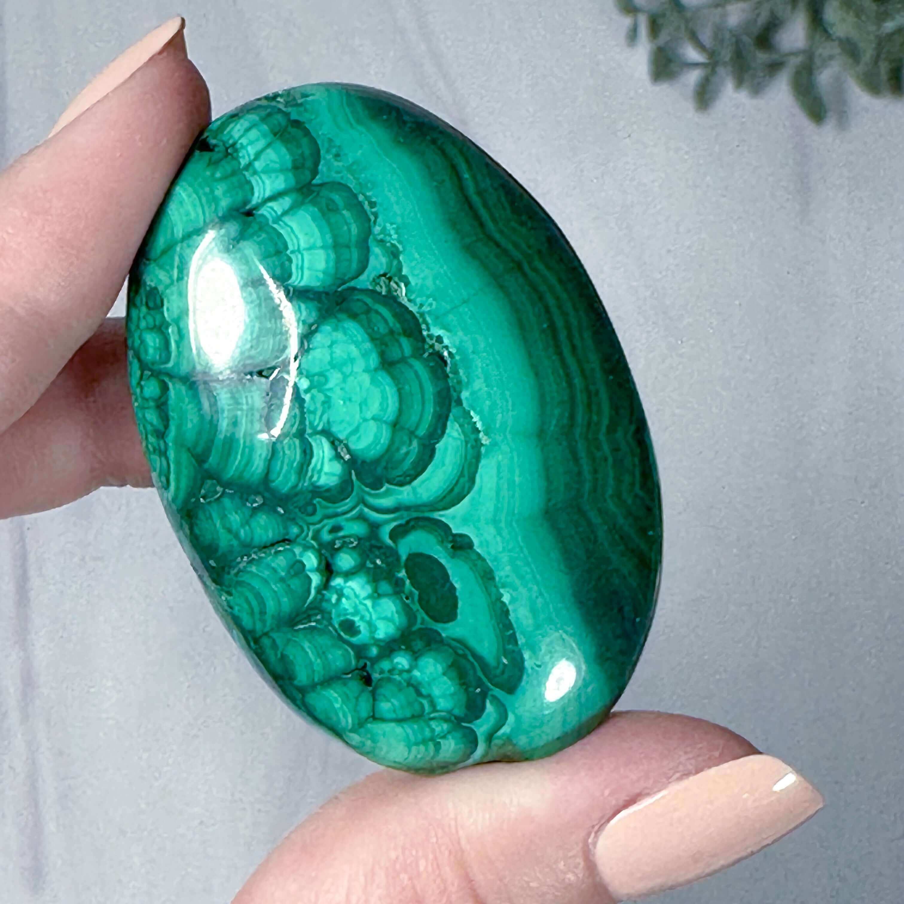 Malachite Palm Stone | Stock R