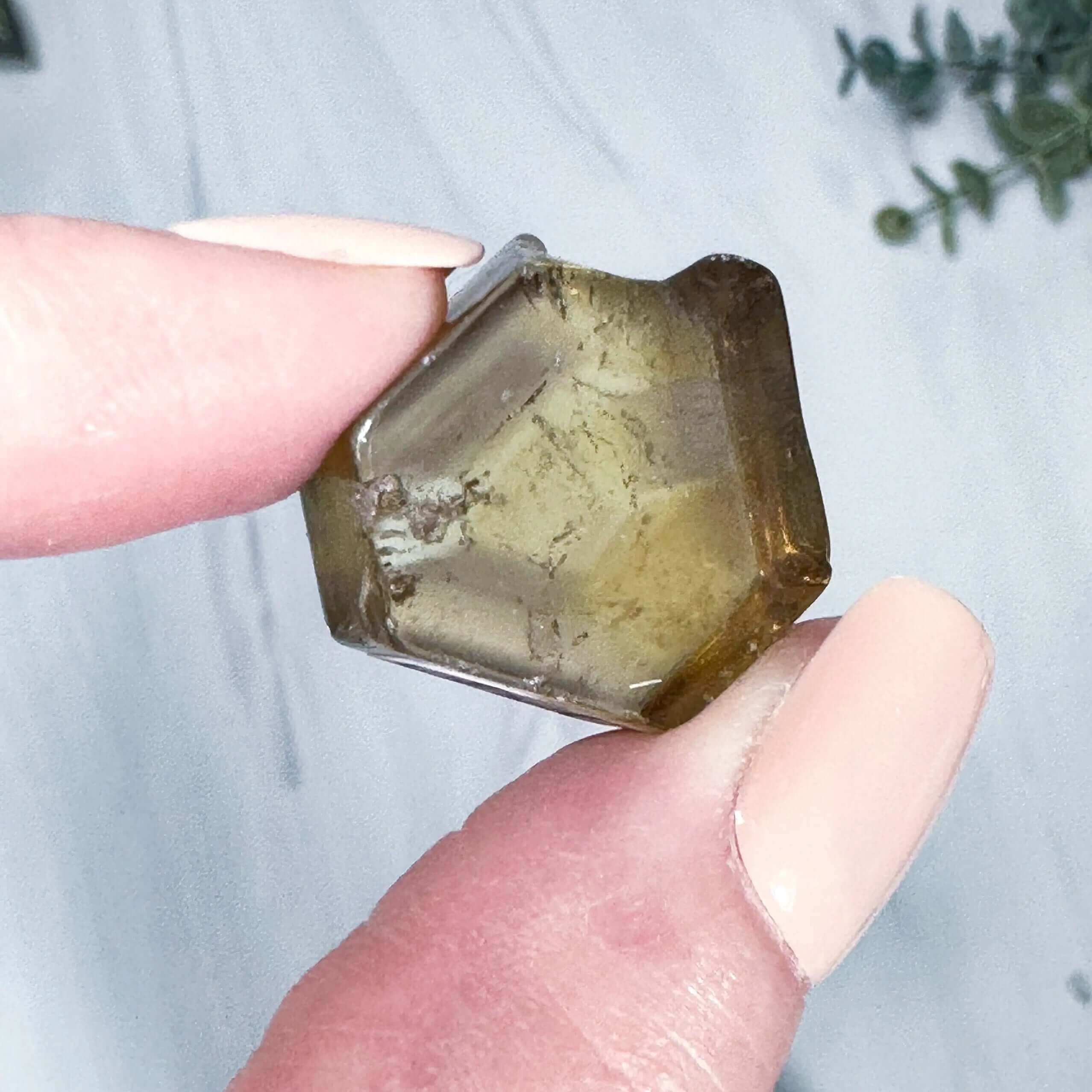Natural African Citrine Slice | Stock D