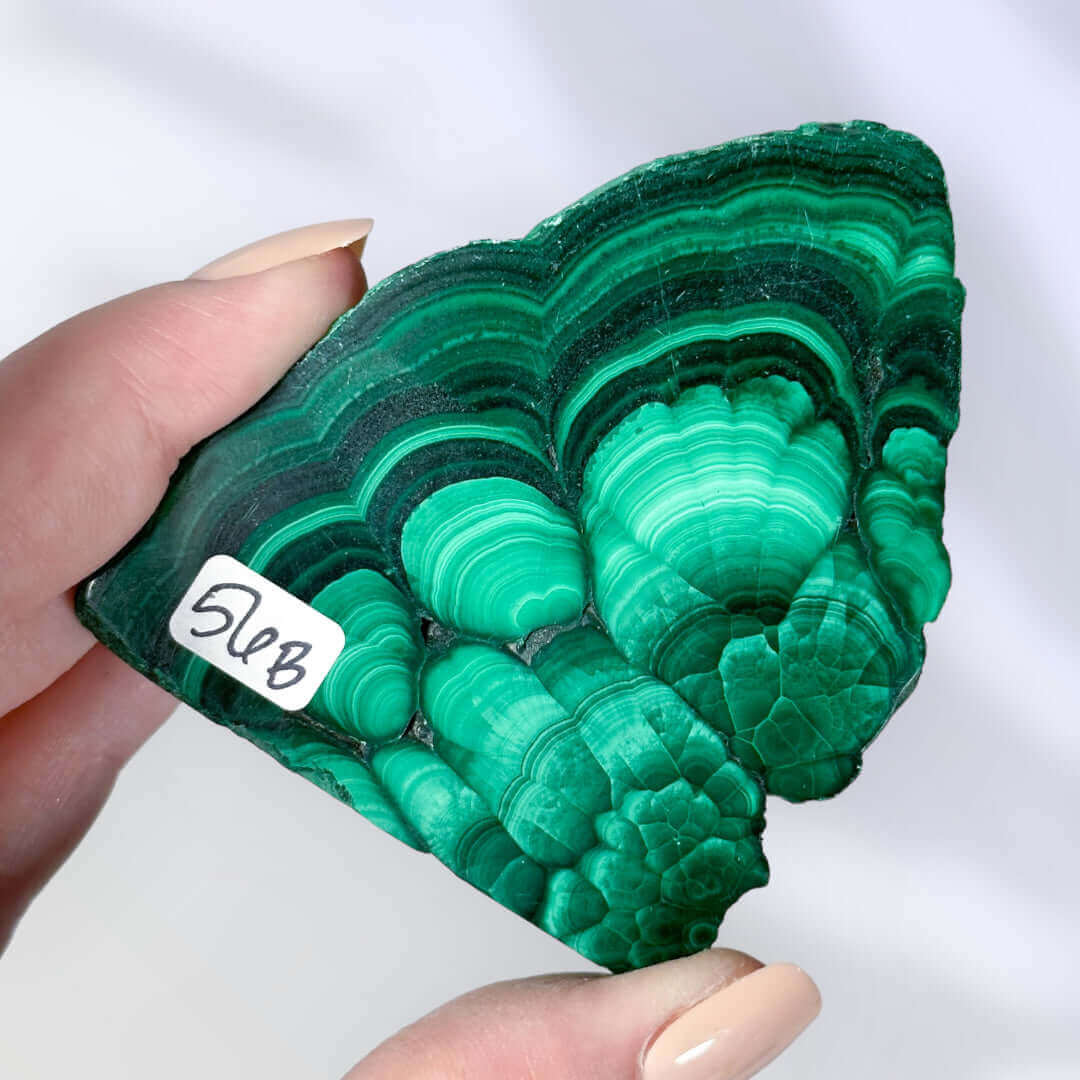 Druzy Malachite Slice | Stock B