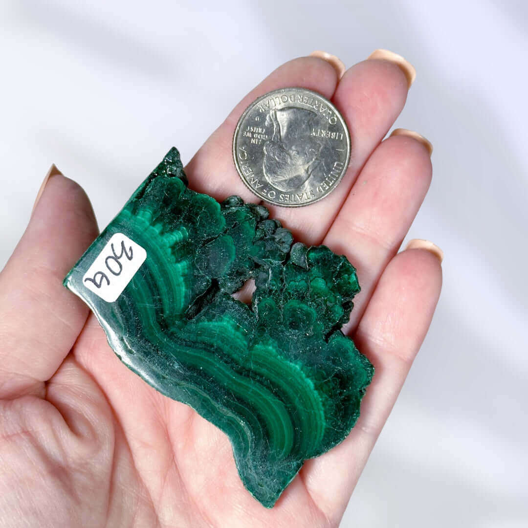 Druzy Malachite Slice | Stock G